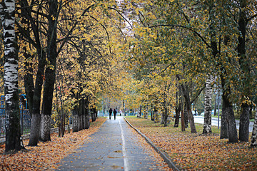 Fototapeta na wymiar Autumn rain in the park
