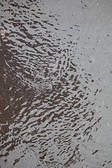 Autumn rain in the park