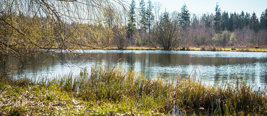 Autumn spring afternoon forest and lake landscape, seasonal autumn spring nature background, ecology