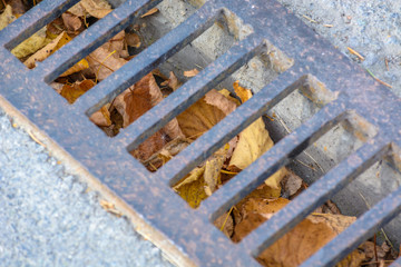 Autumn dry leaves fall from the trees lie drain channel for water.