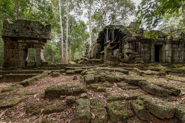 Lost in the forest the small Ta Nei temple attract a few visitors, Siem Reap, Cambodia