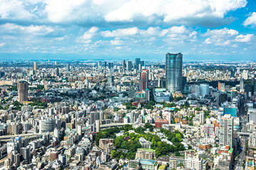 Fototapeta na wymiar Aerial view of Tokyo from Tokyo Tower, Japan