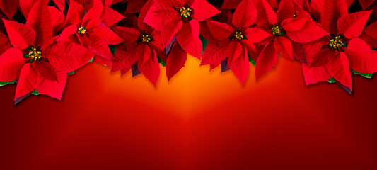 Christmas, greeting card with christmas red design
