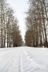 Winter landscape of country fields and roads