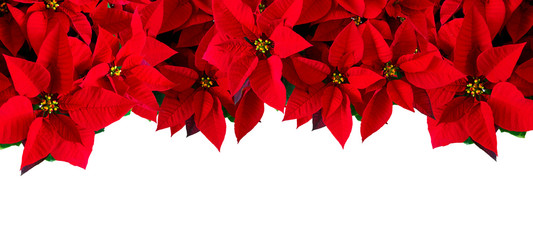 Christmas, greeting card with christmas red design