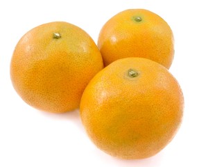 Three Fresh Oranges on White Background