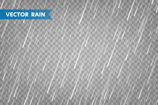 Realistic rain texture on transparent background. Rainfall, water drops effect. Autumn wet rainy day. Vector illustration.