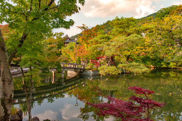 Fototapeta na wymiar Jardín japonés