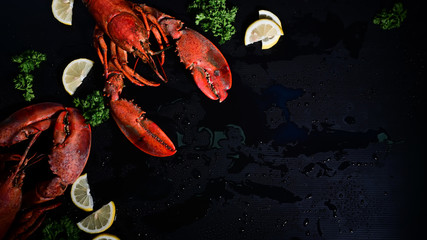 Above shot two lobster with lemon and parsley, Copy space dark background.
