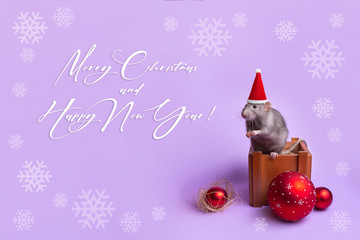 Decorative rat dumbo in a Santa hat on a wooden box. Lettering Merry Christmas and Happy New Year. Christmas decorations. 2020 - Year of the rat. Charming pet. Snowflakes on the background.