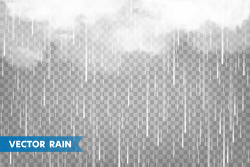 Realistic rain with clouds on transparent background. Rainfall, water drops effect. Autumn wet rainy day. Vector illustration. - obrazy, fototapety, plakaty