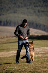 german shepherd dog and his owner walking in the meadows 