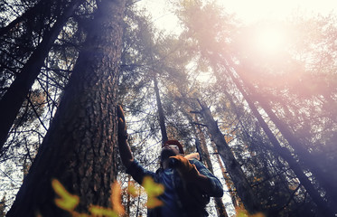 Male worker with an ax chopping a tree in the forest.