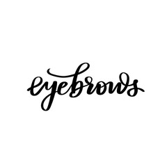 Vector Handwritten quote. Calligraphy phrase for beauty salon, brow bars, Brow Makers