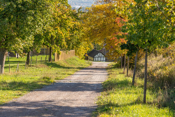 Obraz premium Herbstlicher Feldweg im Sonnenschein
