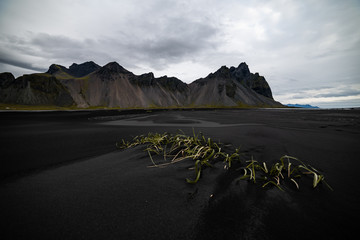 Vestrahorn Stockknes mountain from the west side Iceland.