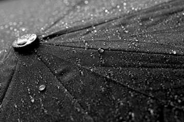 umbrella in drops of water