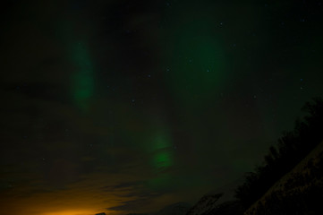 Norther lights three visitors