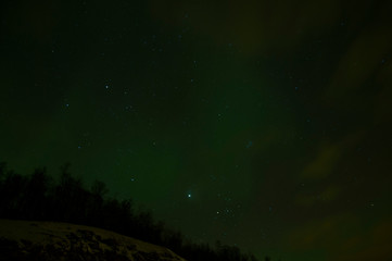 Naklejka premium Northern lights mild with stars over the trees