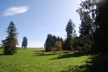 Wald und Wiese 
