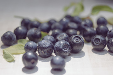 fresh blueberries on white background