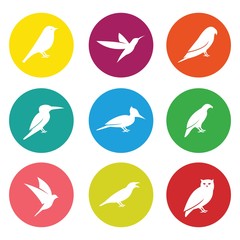 Birds icon set on white background, sign design