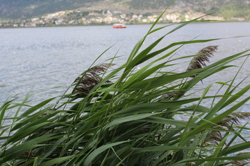 Wind above the lake