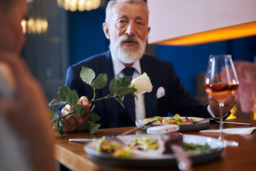 Close up photo of bearded senior man with grey hair, white rose in hands, presents his wife. Love, relationship, restaurant concept