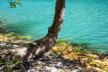 Beautiful and turquoise river Una in canyon on the Croatian and Bosnia and Herzegovina border. Forest and mountains next to the river.