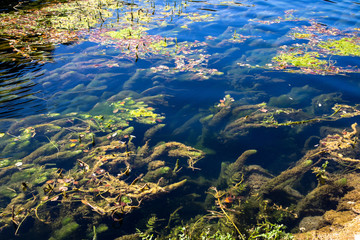 Beautiful and turquoise river Una in canyon on the Croatian and Bosnia and Herzegovina border. Forest and mountains next to the river.