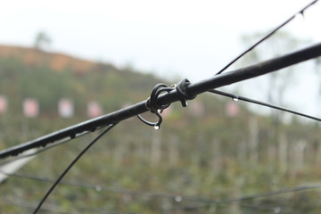 barbed wire