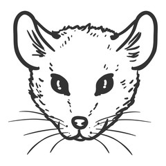 Vector Hand Drawn Sketch Mouse Portrait