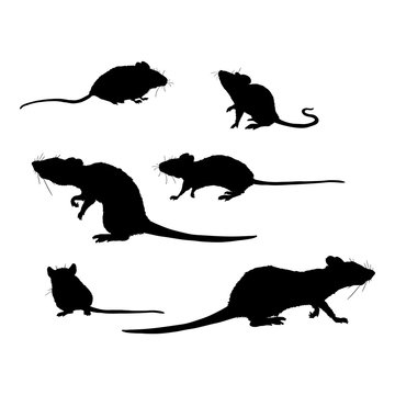 Vector Set of Rats and Mouses Black Silhouettes