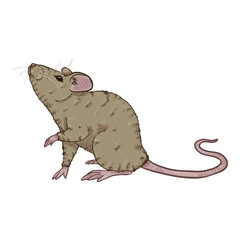 Vector Cartoon Illustration - Gray Mouse