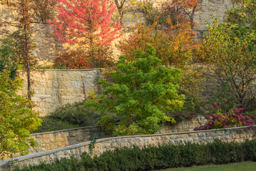 Fototapeta premium Autumn landscape park, trees on the terraces, hydrangea blooms.