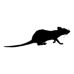 Vector Black Silhouette of Rat