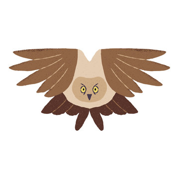 Textured vector illustration of an isolated brown owl in flight.