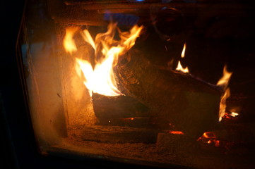 Close-up of a tree burning in a bonfire