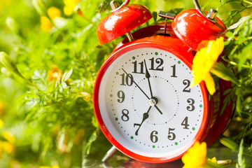 Morning concept. Alarm clock closeup. Red alarm clock on garden table with beautiful flowers background, outdoors