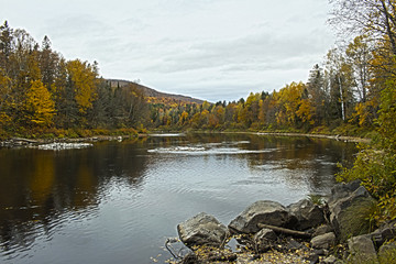 A river in autumn