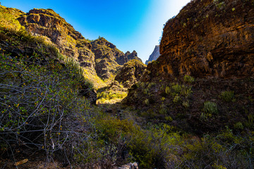 Parque Natural del barranco del infierno en Tenerife