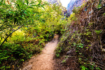 Barranco del Infierno Tenerife, Parque Natural