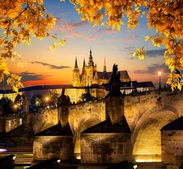 Garden poster Prague Illuminated Charles Bridge