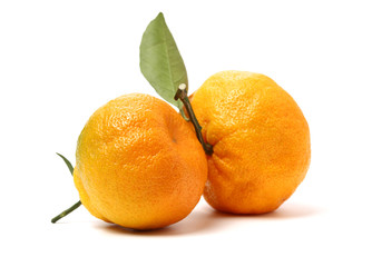 ugly tangerine on a white background 