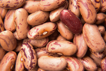 beans in pot closeup