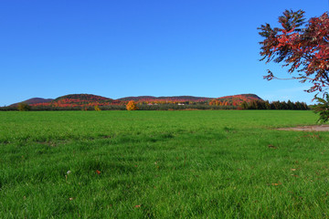 Fototapeta premium Autumn Landscape
