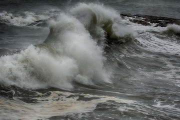 Spiral Waves