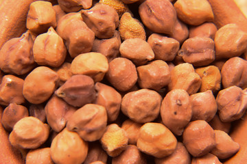 indian rice, pulses and legumes in mud pot