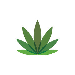 Fototapeta na wymiar Cannabis marijuana hemp leaf logo