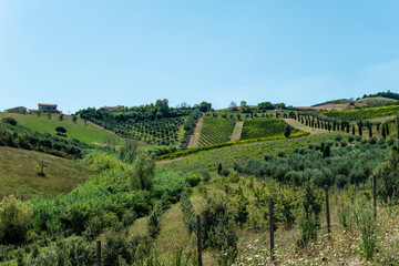 Roads, hills and agricultural land in Italy. Landscape with cypresses and vineyards.